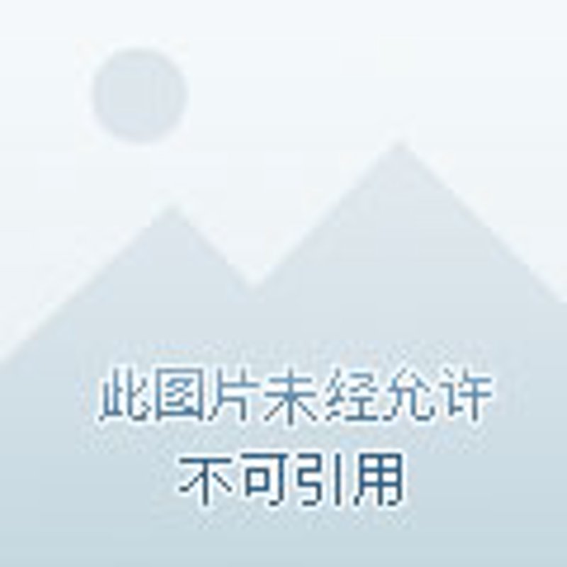 在扬州，哪些汽车品牌最受欢迎？让我们一起揭晓十大畅销车型。